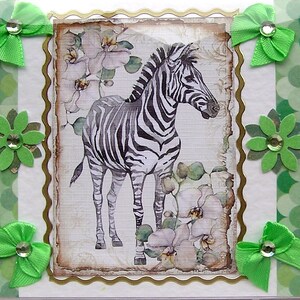 Cebra, Tarjeta de decoupage hecha a mano, En blanco para cualquier ocasión (2654) Animal, Naturaleza, Tarjeta de cumpleaños, Vida salvaje, Safari, Conservación, Zoológico