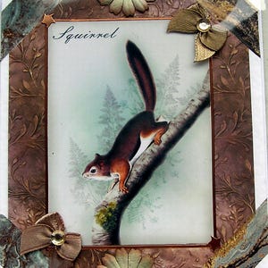 Ardilla roja, fauna británica - Tarjeta de decoupage hecha a mano - En blanco para cualquier ocasión (2836) Animal, Naturaleza, Día del padre, Día de la madre, Jardín