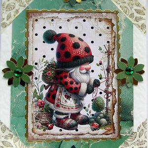 Nain coccinelle - carte de voeux de découpage fabriquée à la main, vierge pour toutes les occasions (2703), carte d'anniversaire, carte de fée, carte en couches, carte de fantaisie