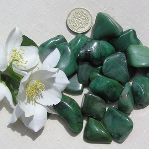 12 Grüne Buddstone (African Jade) Kristall kleine Trommelsteine, grüne Kristalle, Kristallsammlung, Meditationsstein, Sorgenstein, Verdit
