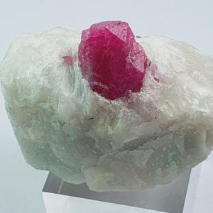 以下が含まれることがあります： 鮮やかな多面的な深紅色のルビーの結晶が、明るい灰色のざらざらした岩の上にあります。 ルビーは焦点であり、その鋭いエッジと豊かな色が、より柔らかく明るい石の基部と対照的です。 天然の鉱物標本です。