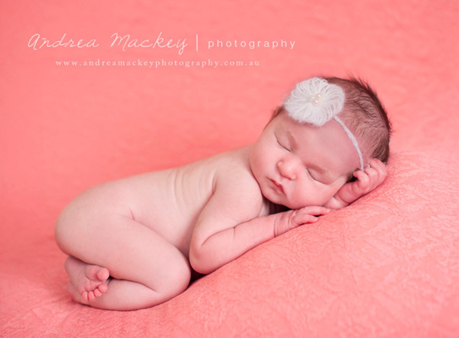 Baby Headband Mohair Flower Newborn Head Band Photo Prop Etsy