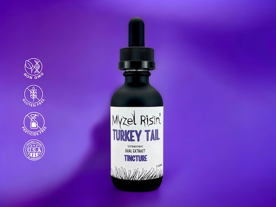 Turkey Tail Mushroom And Gut Health: How It Rebuilds Your Microbiome 