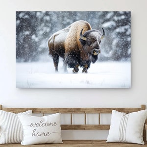 Bison Wall Art, American Bison On Canvas, Bison Print