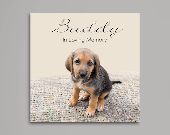 personalized dog canvas