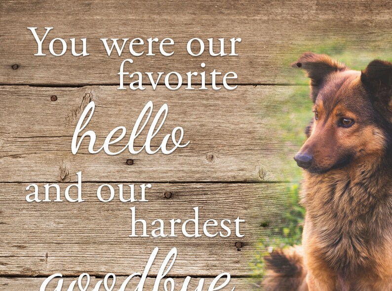 Op de afbeelding: Een houten bord met de tekst "Je was onze favoriete hallo en ons moeilijkste afscheid." Een bruin-zwarte hond staat aan de rechterkant van het bord. De achtergrond is een houten textuur.
