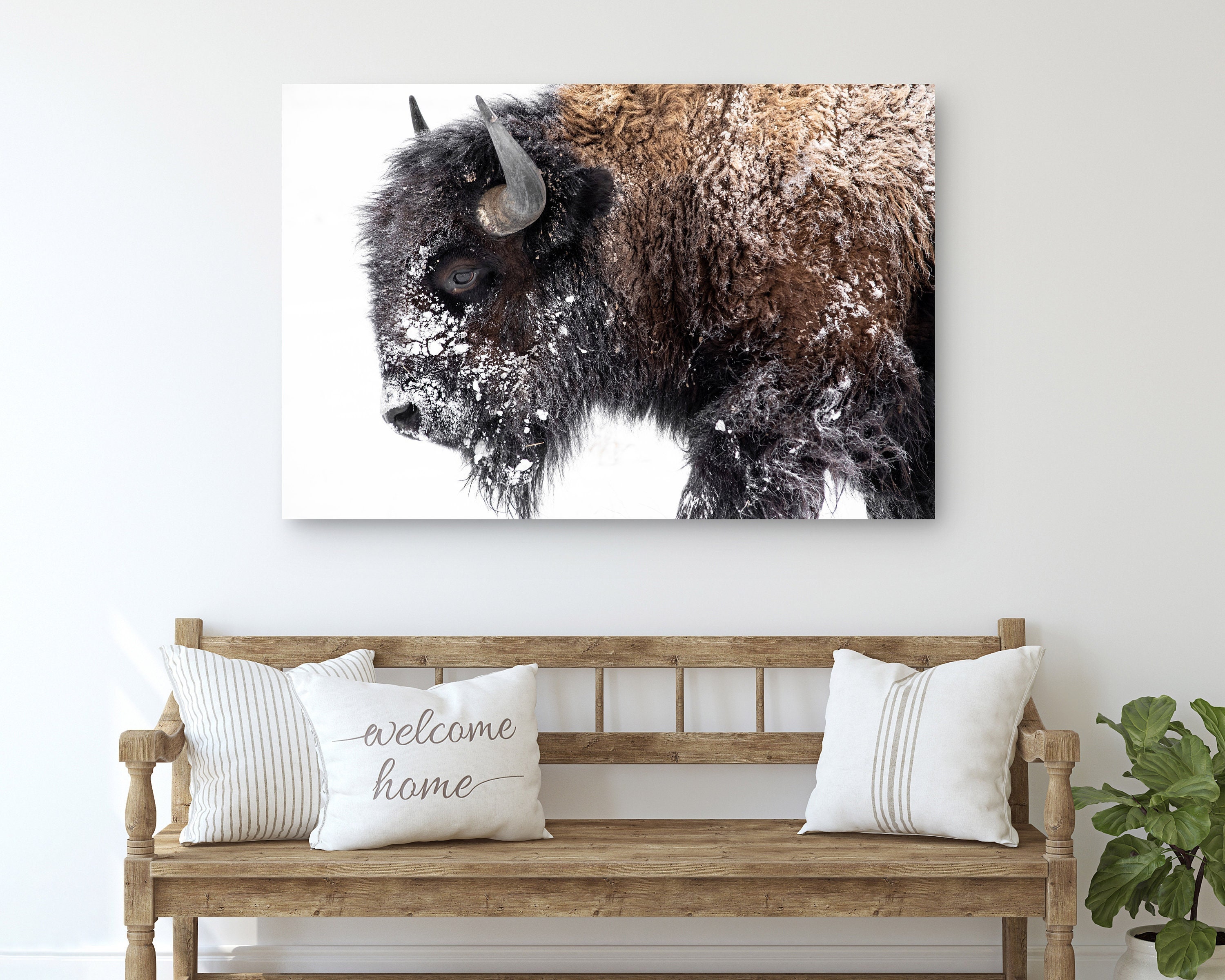 Rustic Bison Canvas Print Farmhouse Western Wall Art