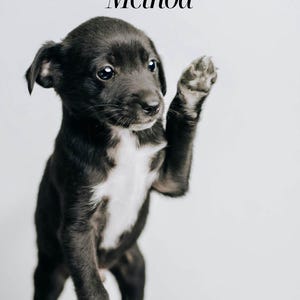 May include: A black and white puppy with one paw raised, looking at the camera. The text "The Smart Puppy Method" is above the puppy.