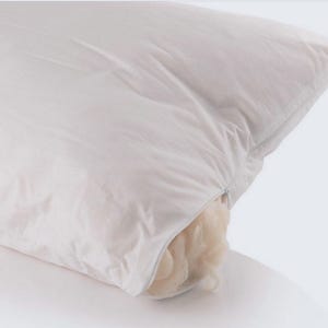 Handmade Organic Wool Pillow