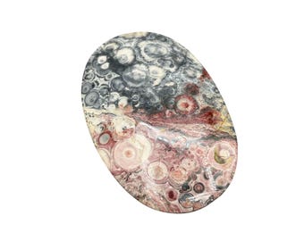 Stone Belt Buckle Leopard Skin Jasper Polished Genuine Large Stone