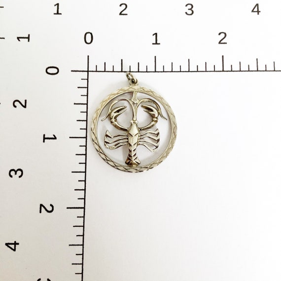 Zodiac Aquarius Lobster sterling silver charm double … Gem