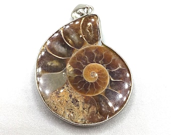 Ammonite Fossil Pendant Brown Shell Swirls Snail Silver Tone Bail Bohemian Shell