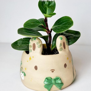 Ceramic rabbit flower pot - handpainted natural animal decoration - kawaii pottery - magical themed - cute bunny planter - housewarming gift