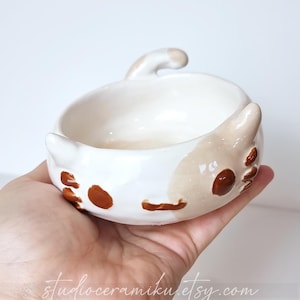 MADE TO ORDER cat flower pot handmade pottery cute succulent planter kawaii aesthetic artisan ceramic kitten bowl cat bowl custom order