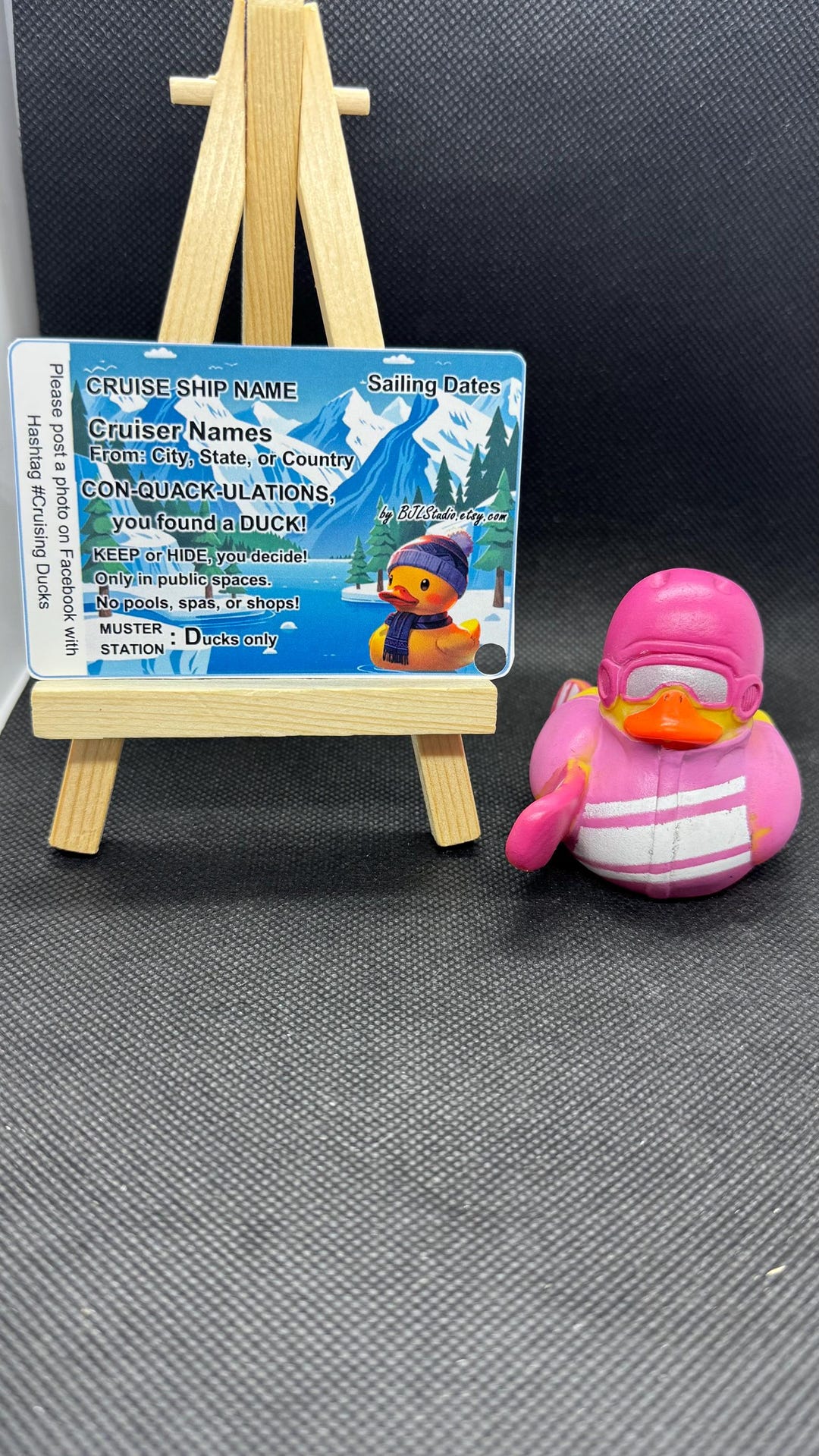 Set of 8 Personalized Alaska Cruise Duck Tags - Cold / Snow / Winter ...