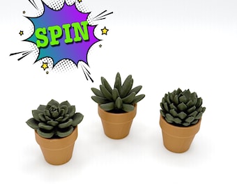 May include: Three small potted green succulent plants. The plants are in brown pots and are arranged in a row on a white surface.