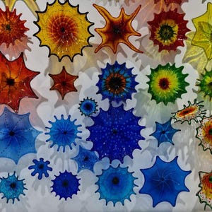 May include: A collection of colorful, starburst-shaped glass art pieces in various sizes and hues, including red, orange, yellow, green, and blue. The pieces are mounted on a white wall, creating a vibrant display.