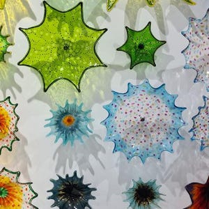 May include: A collection of colorful, spiky glass art pieces in various sizes and hues, including green, blue, yellow, and pink. The pieces are mounted on a white wall, creating a vibrant and textured display.