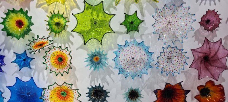May include: A collection of colorful, spiky glass art pieces in various sizes and hues, including green, blue, yellow, and pink. The pieces are mounted on a white wall, creating a vibrant and textured display.