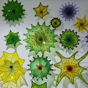 May include: A collection of colorful, spiky glass art pieces in various sizes and hues, including red, orange, yellow, green, and purple. The pieces are mounted on a white wall, creating a vibrant display of decorative art.