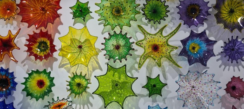 May include: A collection of colorful, spiky glass art pieces mounted on a white wall. The pieces vary in size and shape, with colors including red, orange, yellow, green, blue, and purple. Some have textured surfaces and intricate details.