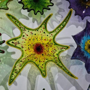 May include: A collection of colorful, star-shaped glass art pieces. The central piece is yellow with red and green accents, surrounded by green and purple pieces. The glass art has a textured appearance and is mounted on a white surface.