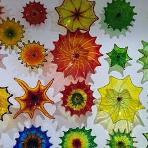 May include: A collection of colorful, starburst-shaped glass art pieces in various sizes and hues, including red, orange, yellow, green, and blue. The pieces are mounted on a white wall, creating a vibrant display.