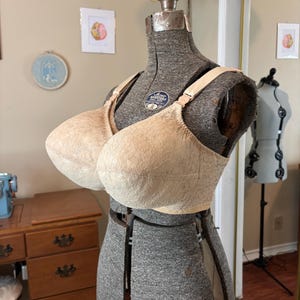 Könnte beinhalten: Beige Spitzen-BH auf einer grauen Schneiderpuppe. Der BH hat verstellbare Träger und ein vollflächiges Design. Die Schneiderpuppe befindet sich in einem Raum mit Vintage-Ästhetik, mit einer Nähmaschine und Kunstwerken im Hintergrund.