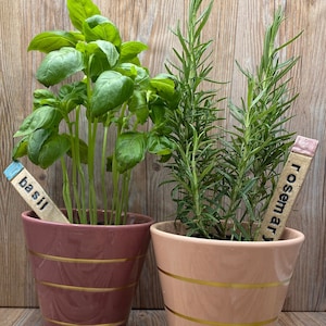 Herb Markers, Hand-stamped, Custom Available image 2