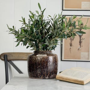 May include: A dark brown ceramic vase with a textured finish, holding green olive branches. The vase is on a marble-effect surface, with a wooden chair and framed botanical prints in the background. An open book is also present.
