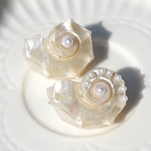 Luminous Conch Shell Stud Earrings: Natural Seashell Ocean Gift, Boho Beach Jewelry, Sterling Silver