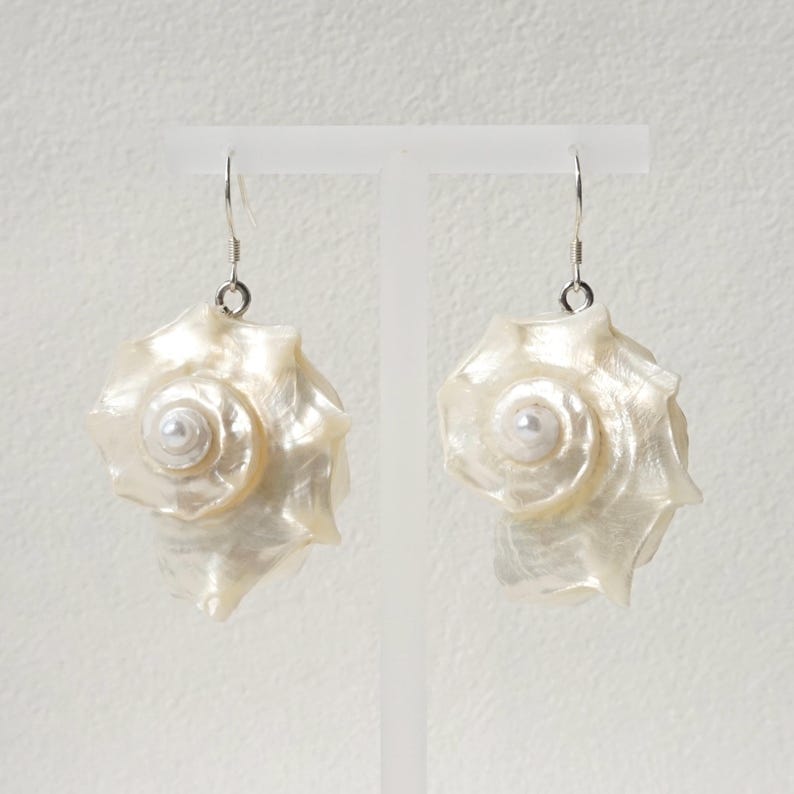 Luminous Conch Shell Stud Earrings Natural Seashell Ocean Gift, Boho — free download