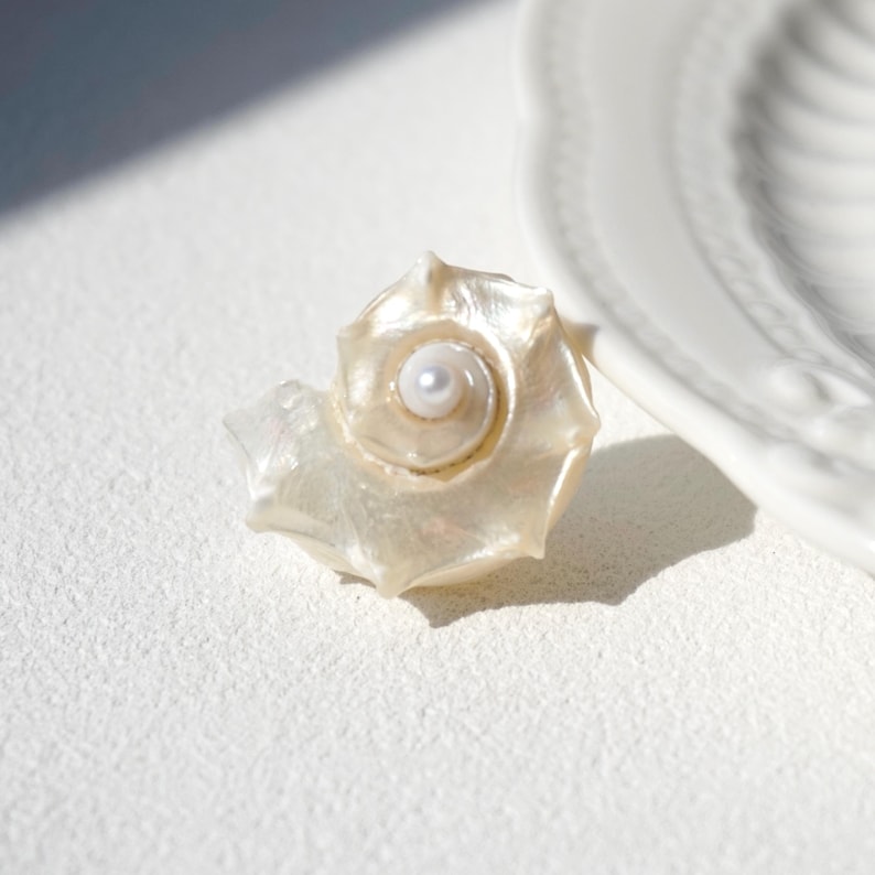 Luminous Conch Shell Stud Earrings Natural Seashell Ocean Gift, Boho — free download