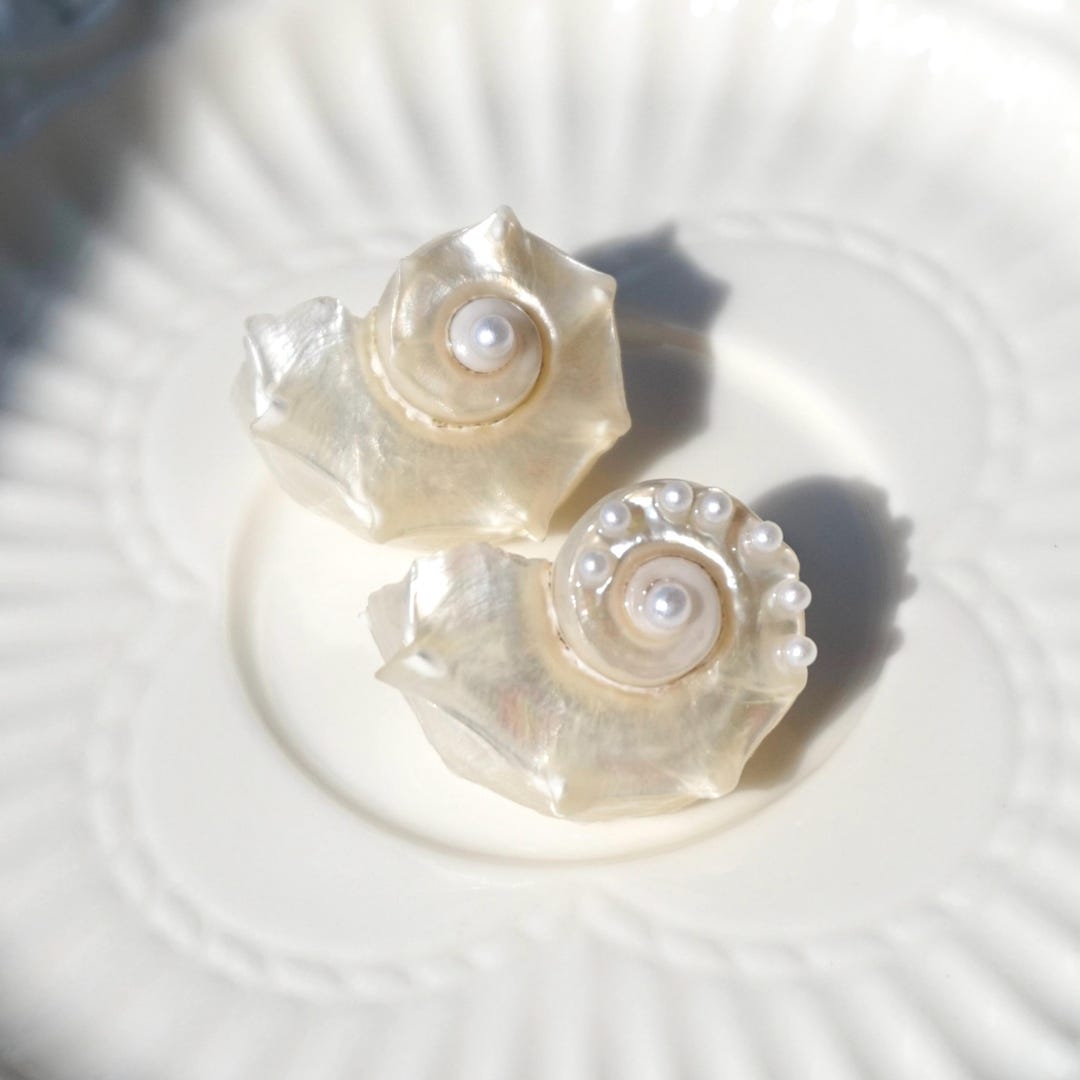 Luminous Conch Shell Stud Earrings Natural Seashell Ocean Gift, Boho — free download