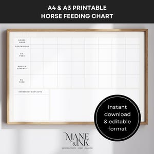 Paardenvoerplanner, bewerkbaar voer 's ochtends, supplementen en medicatieschema, A4- en A3-indelingen