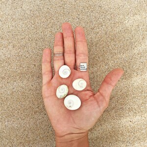 K&ouml;nnte beinhalten: Eine Hand h&auml;lt f&uuml;nf wei&szlig;e Muscheln und einen silbernen Ring mit der Aufschrift "Own Your Journey".