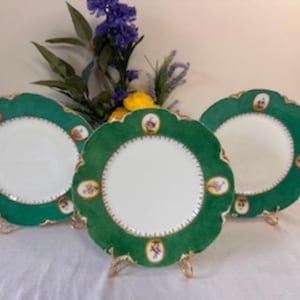 Antique H&C L France Hand Painted Plates Raised Gold Floral 1896 Decorative Porcelain