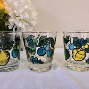 Vintage Dominion Fruit Motiv Cocktailgläser - Bunte Mid-Century Barware