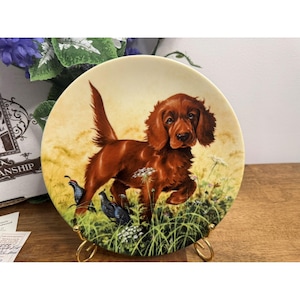 May include: Decorative plate depicting a reddish-brown Irish Setter dog in a field with small birds and wildflowers. The plate is displayed on a gold-coloured stand, with a soft yellow and green background.