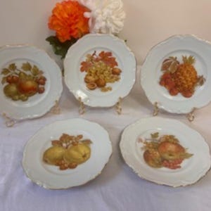 Vintage Winterling Roslau Bavaria Germany Fruit Motif Plate Set – Gold Trimmed Porcelain Display Plates
