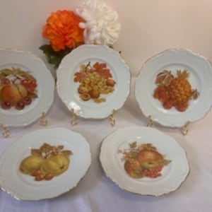 Vintage Winterling Roslau Bavaria Germany Fruit Motif Plate Set – Gold Trimmed Porcelain Display Plates