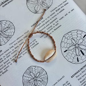 May include: A brown cord bracelet featuring a single cream-colored cowrie shell as a central focal point. The bracelet has an adjustable sliding knot closure with two thin cord ends extending from the knot, resting on a page with scientific text.