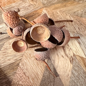 Op de afbeelding: Close-up van verschillende bruine eikeldoppen met stelen, sommige nog steeds aan de steel bevestigd. De eikeldoppen zijn gerangschikt op een houten oppervlak met een geometrisch patroon. De doppen hebben een getextureerd, ruw uiterlijk.