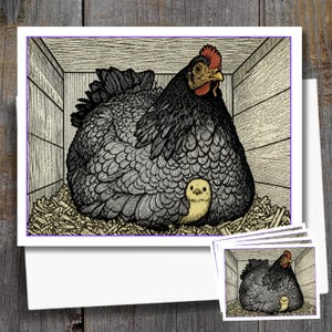 May include: A greeting card featuring a detailed illustration of a large, dark gray hen with a red comb sitting in a wooden coop on straw, with a small yellow chick tucked under its feathers. The artwork uses fine black lines for texture.