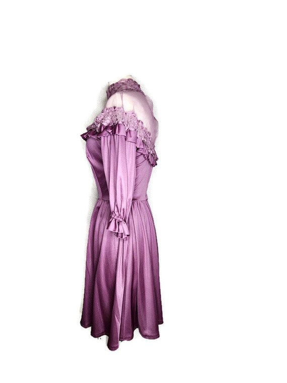 1970s Mauve Mesh Yoke Vintage Dress - image 4