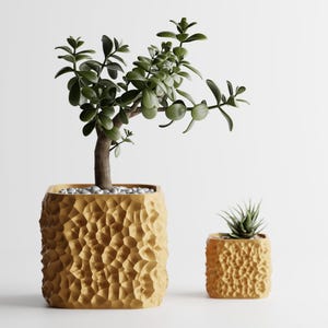 Plant Pot TerraForma - Minimalist Planter - Golden Form