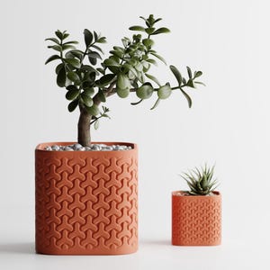 Plant Pot Seraphis