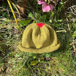 Könnte beinhalten: Eine grüne Strickmütze mit einem roten Herzen oben drauf. Die Mütze liegt auf einem Bett aus grünem Gras.