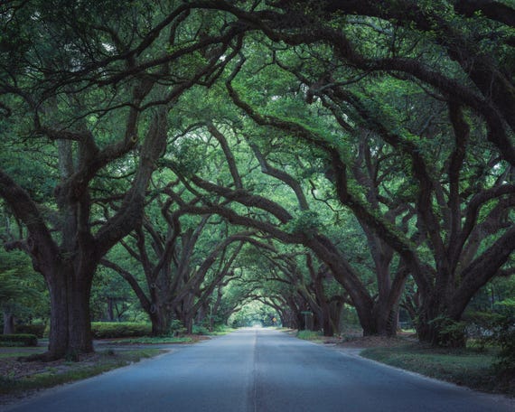 Aiken