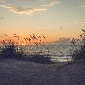 Sunrise on Tybee Island Photo Print,  Tybee Island GA Print, Beach front Home Decor, Landscape Art Print, Savannah Coastline